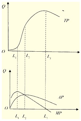 济师考试中级经济基础 生产函数和生产曲线_职