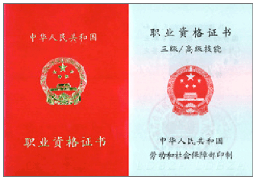 网络编辑员证书样本_职业培训教育网