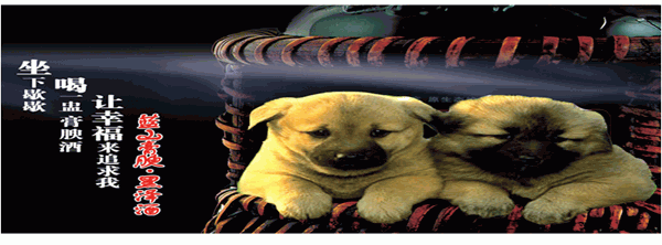 情感广告是指广告的内容或者广告的表现形式以