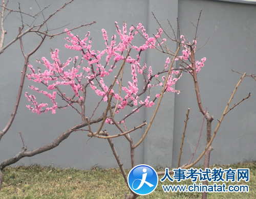 特别策划:2009年职称英语考试前线报道(图)_职