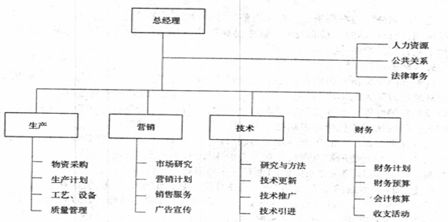 职能部门化企业组织结构系统图