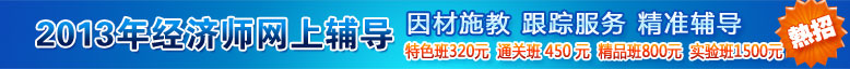 2013年经济师考试网上辅导