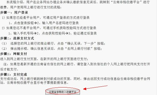 云南省财政厅收缴平台缴费流程