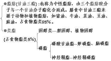 2015年三级公共营养师医学基础知识讲义:第六