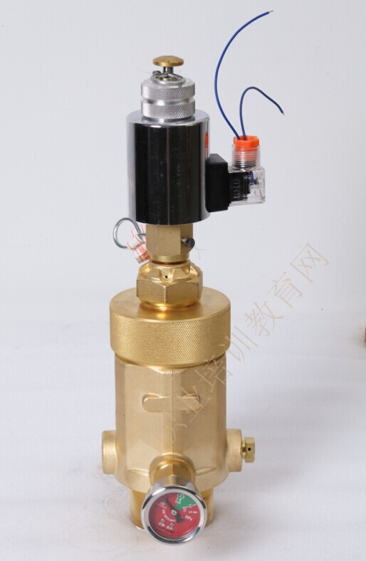 2016一级消防工程气体灭火系统容器阀图片_职