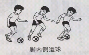 2017上半年教师资格小学《教育教学知识与能